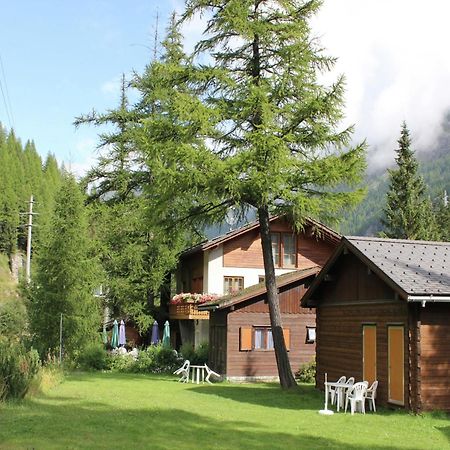 Modern Chalet In Saas Balen With Garden Dış mekan fotoğraf