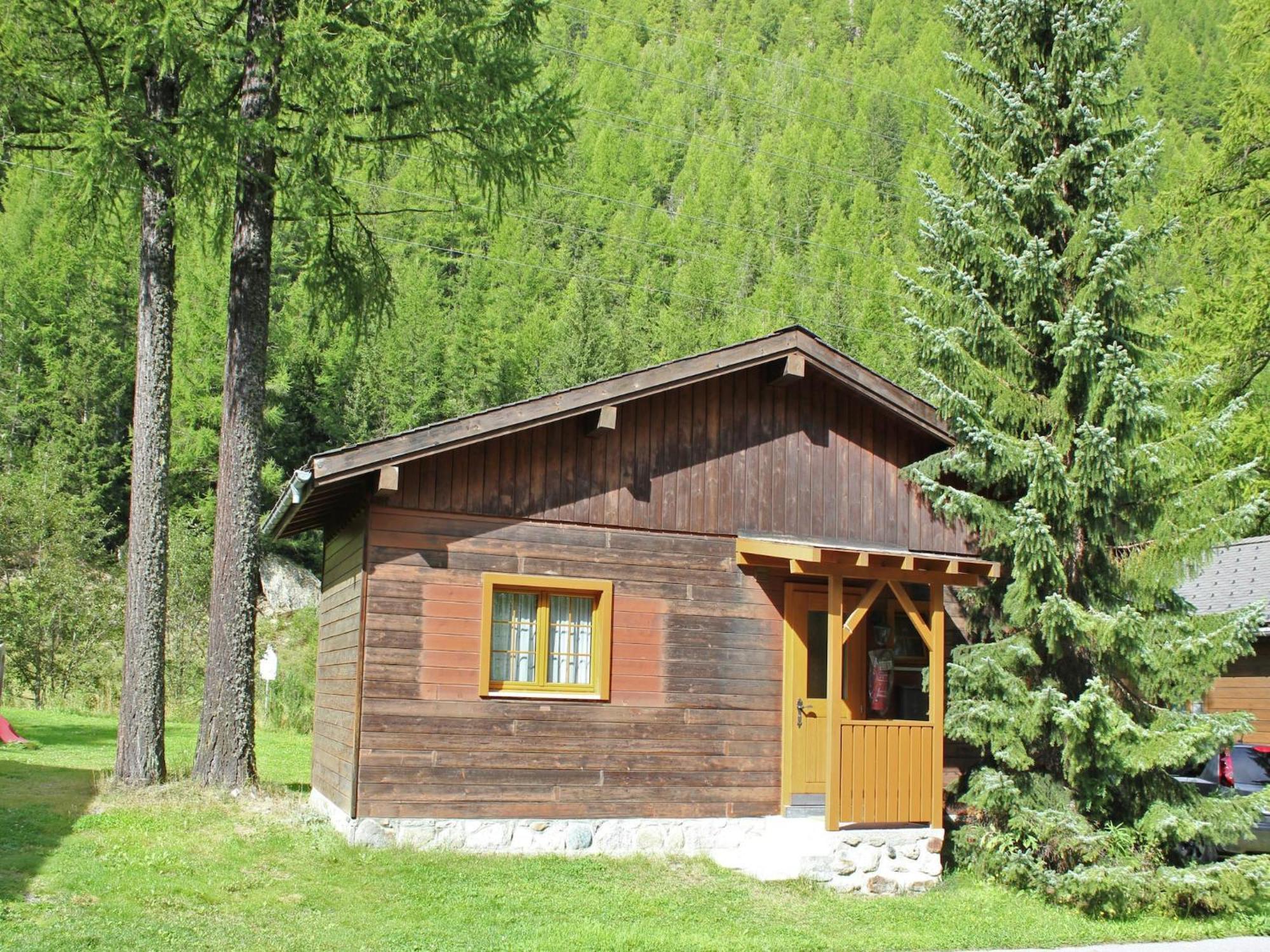 Modern Chalet In Saas Balen With Garden Dış mekan fotoğraf